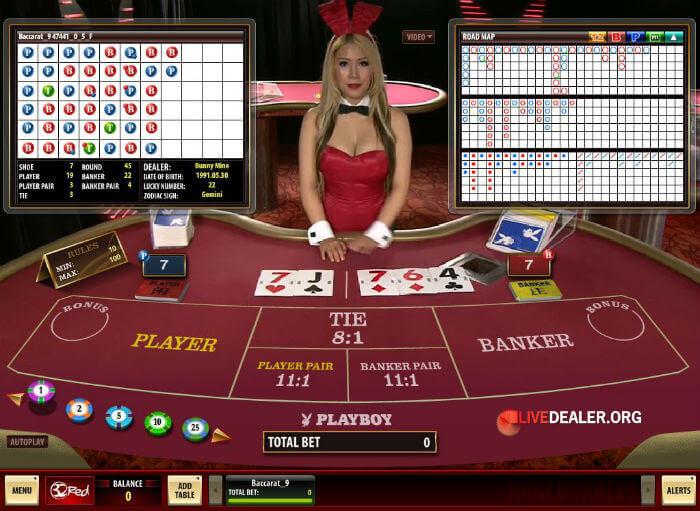 Playboy Casino Dealer