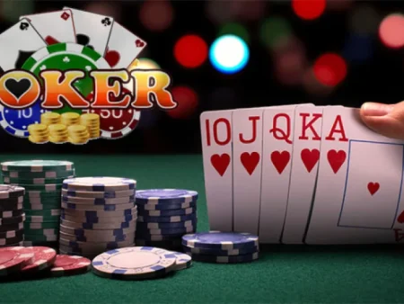 Các Loại Bài Poker Phổ Biến Nhất Và Cách Chơi Hiệu Quả Cho Người Mới