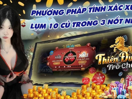 Tính Toán Xác Suất Tài Xỉu: Hướng Dẫn Chi Tiết Để Tăng Cơ Hội Thắng